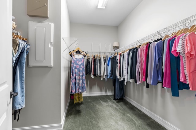 walk in closet featuring dark carpet and electric panel