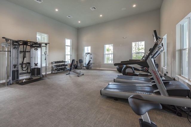 exercise room with carpet and a high ceiling