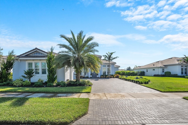 ranch-style home with a front yard