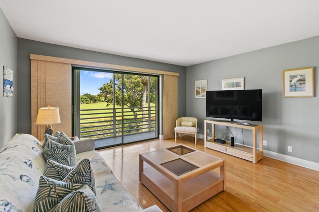 living room with hardwood / wood-style floors