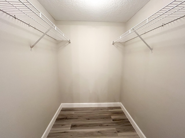 walk in closet featuring wood-type flooring