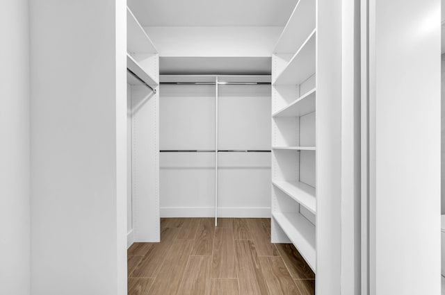 spacious closet with light hardwood / wood-style flooring