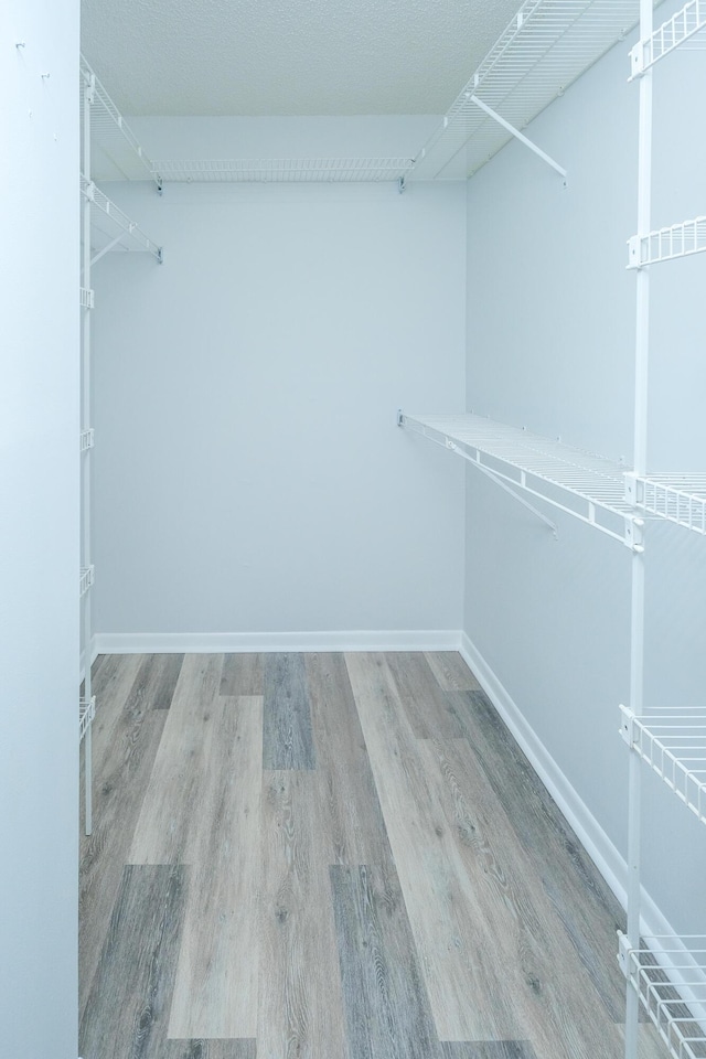 walk in closet featuring wood-type flooring