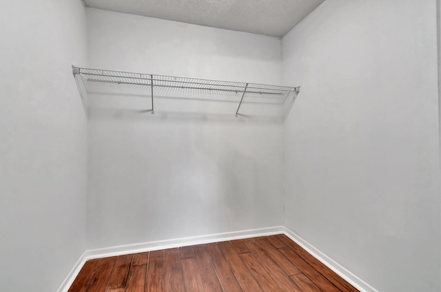 spacious closet featuring wood-type flooring