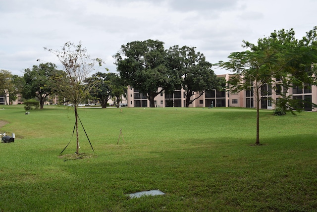 view of community with a yard