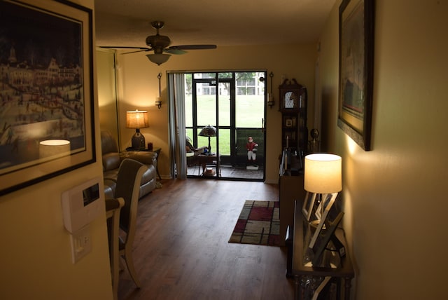 doorway to outside with ceiling fan and dark hardwood / wood-style flooring