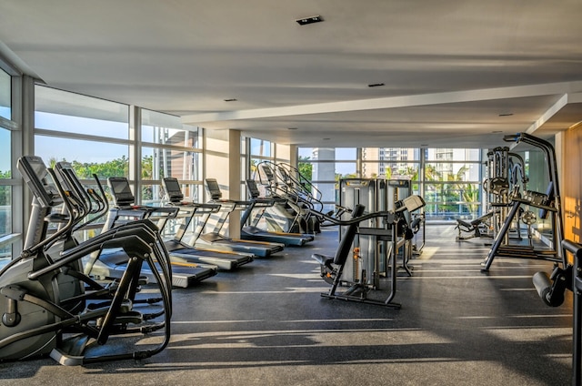 gym featuring a wall of windows