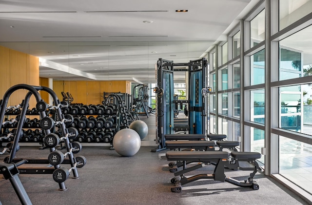 exercise room featuring expansive windows and wooden walls