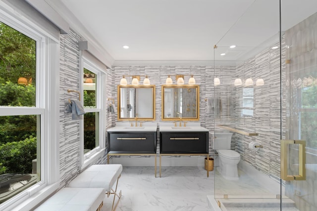 bathroom featuring a wealth of natural light, vanity, toilet, and an enclosed shower