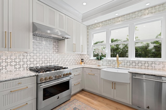 kitchen with range hood, crown molding, stainless steel appliances, and a wealth of natural light