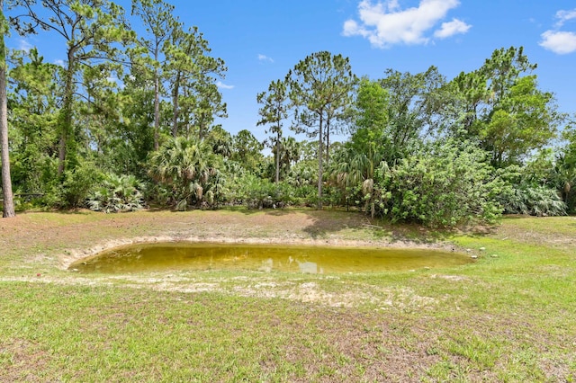 view of yard featuring a water view