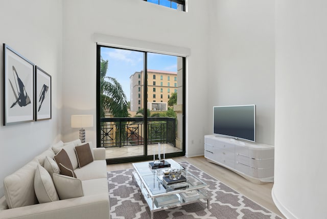 living room with hardwood / wood-style floors and a high ceiling