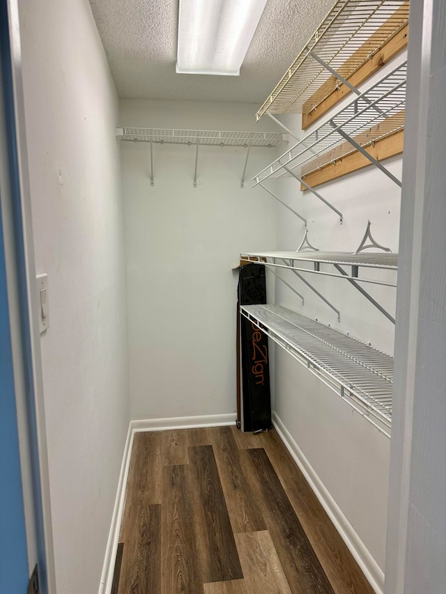 spacious closet featuring dark wood-type flooring