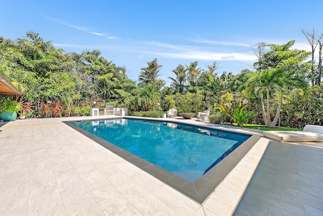 view of swimming pool with a patio