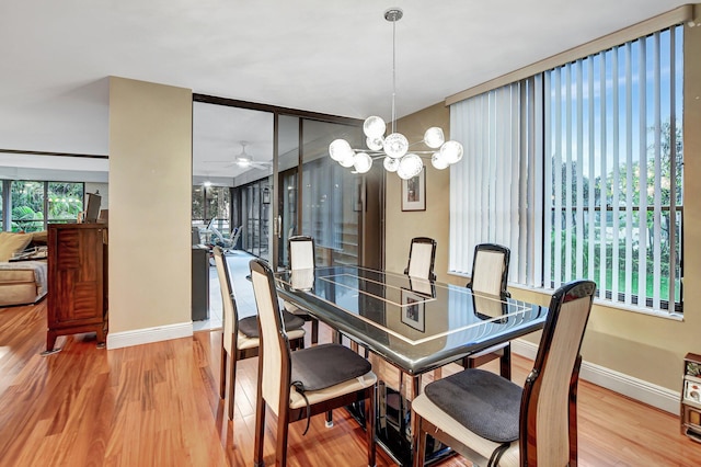 dining room featuring hardwood / wood-style flooring and ceiling fan with notable chandelier