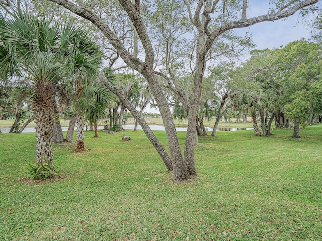 view of yard with a water view