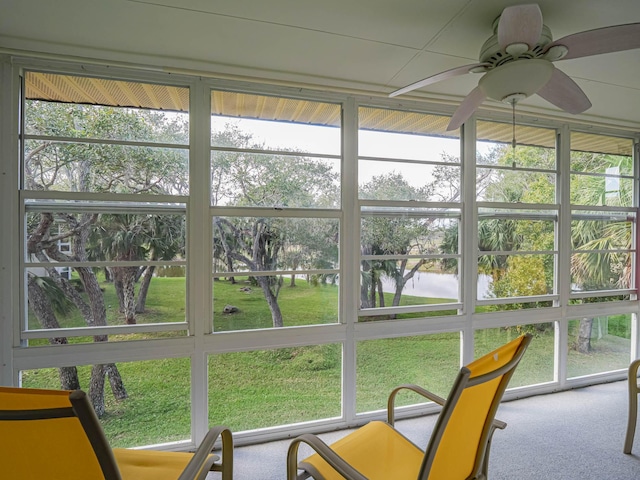 sunroom with a ceiling fan and a healthy amount of sunlight