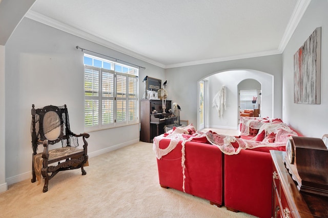 living room with ornamental molding and light carpet