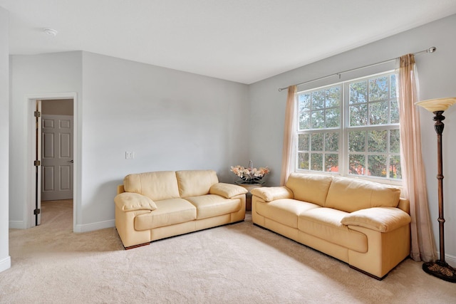 living room with carpet