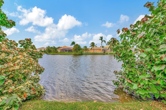 view of water feature