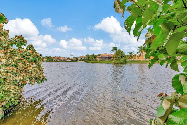 view of water feature