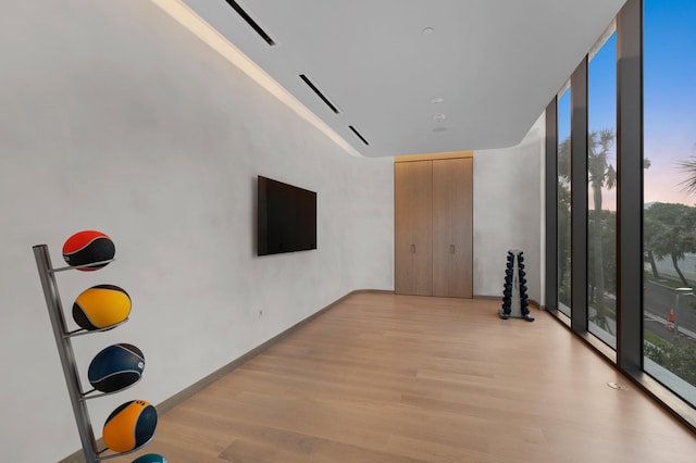 unfurnished room featuring expansive windows, a healthy amount of sunlight, and light hardwood / wood-style flooring