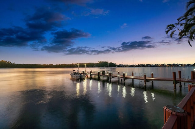 dock area with a water view