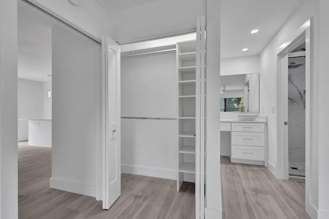 closet with sink