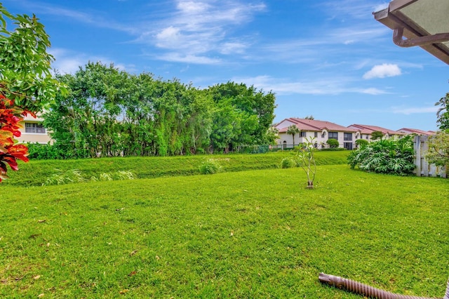 view of yard