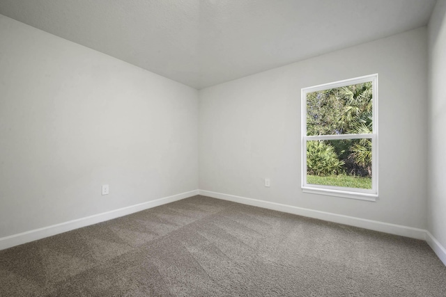 empty room featuring carpet floors and a wealth of natural light