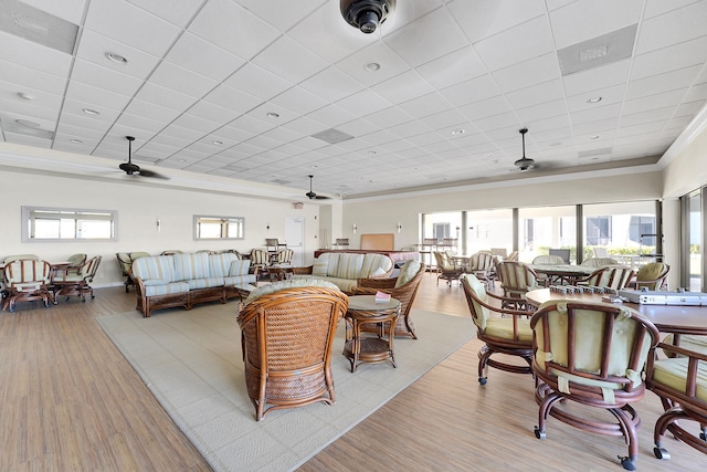 dining space featuring ceiling fan, a drop ceiling, a healthy amount of sunlight, and light hardwood / wood-style floors