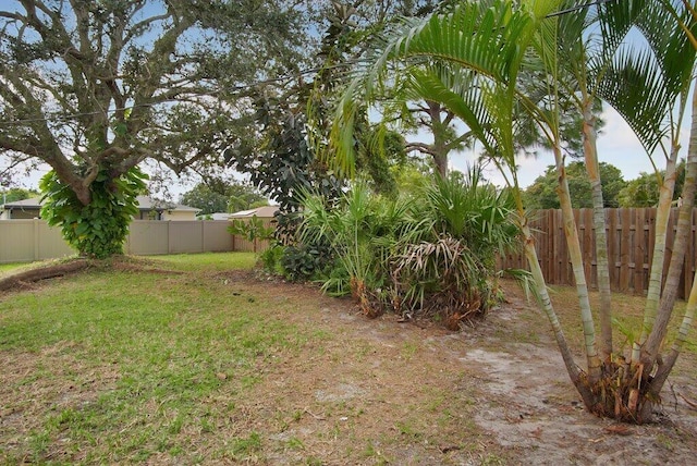 view of yard featuring a fenced backyard