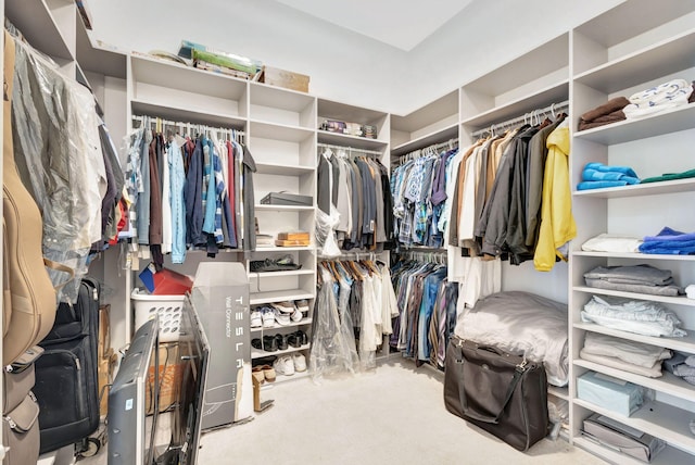 walk in closet with light colored carpet