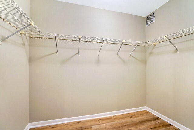 walk in closet featuring hardwood / wood-style flooring