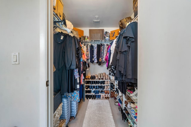 view of walk in closet