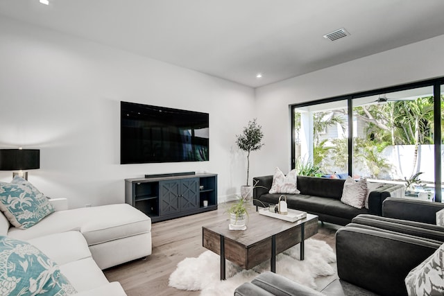 living room featuring light hardwood / wood-style floors