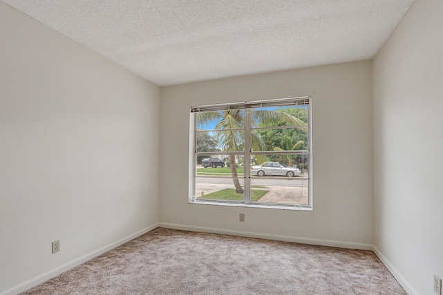 unfurnished room with plenty of natural light, a textured ceiling, and light colored carpet