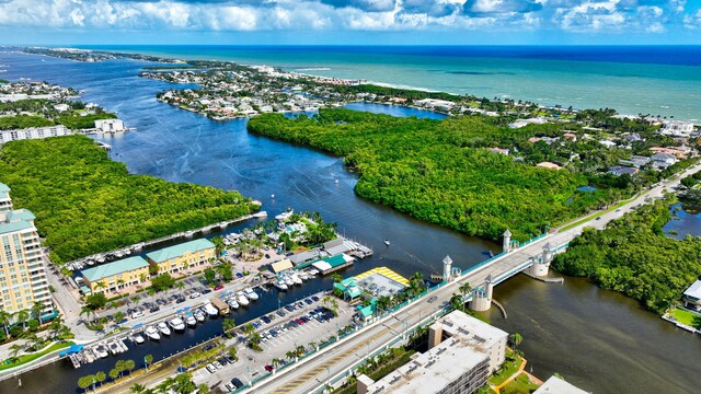 aerial view with a water view