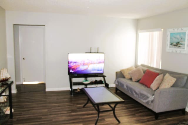 living room featuring dark wood-type flooring