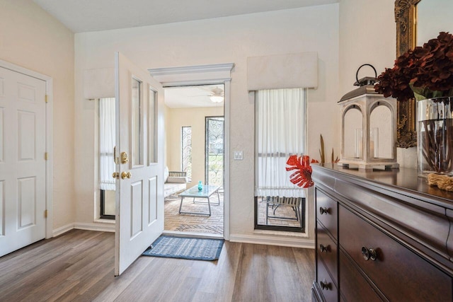 doorway featuring ceiling fan and hardwood / wood-style floors