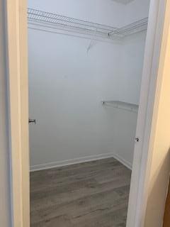 walk in closet featuring dark hardwood / wood-style floors