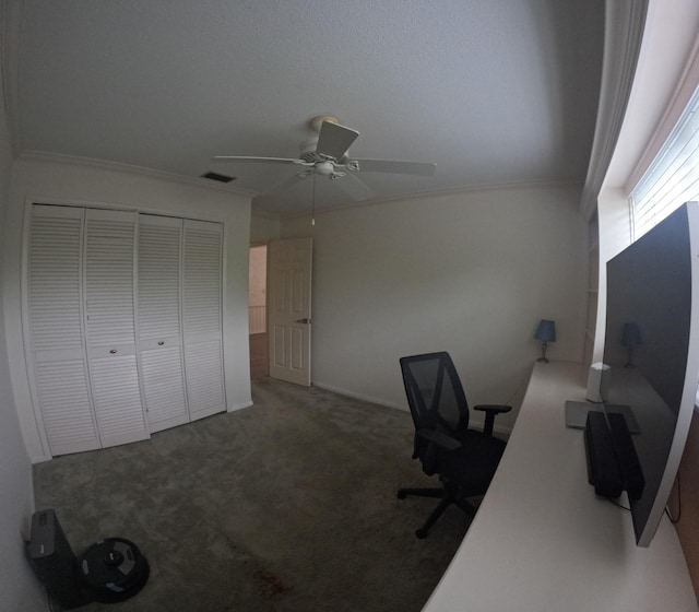 unfurnished office with carpet flooring, ceiling fan, and crown molding