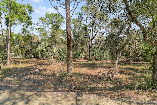 Listing photo 3 for XXX S Header Canal Rd, Port Saint Lucie FL 34987