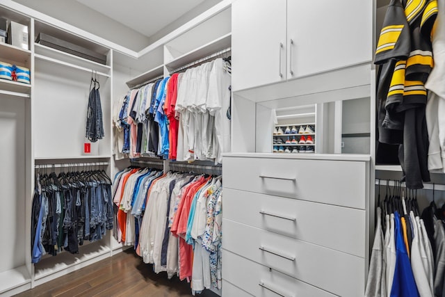 spacious closet featuring dark wood-type flooring