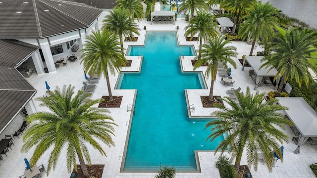 view of pool featuring a patio area