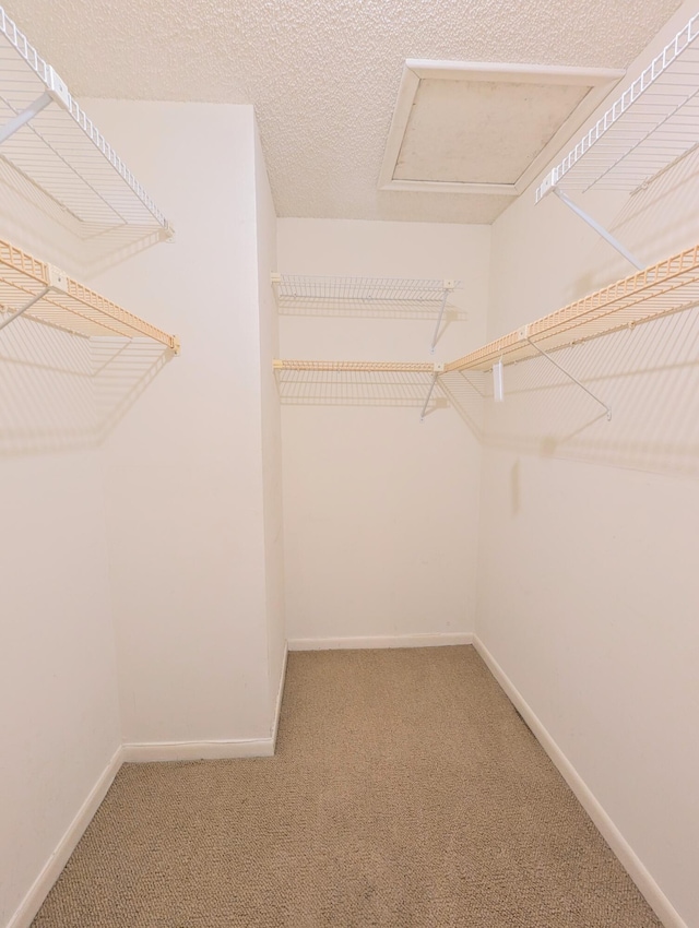 1914 Palmland Dr Unit B, Boynton Beach, FL 33436 - walk in closet featuring attic access and carpet floors
