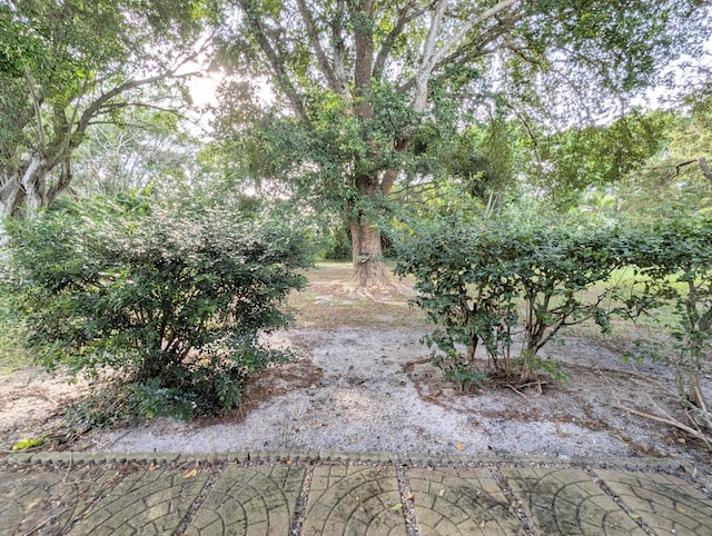 1914 Palmland Dr Unit B, Boynton Beach, FL 33436 - view of local wilderness