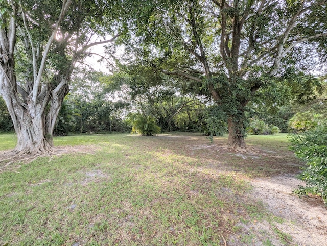 1914 Palmland Dr Unit B, Boynton Beach, FL 33436 - view of green lawn