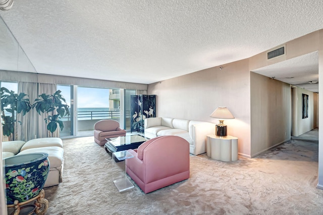 living room with a textured ceiling and carpet floors