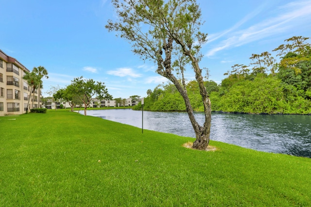 property view of water